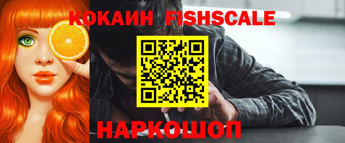 Михайловка  Cocaine  Вход с VPN  Cocaine Fish Scale 