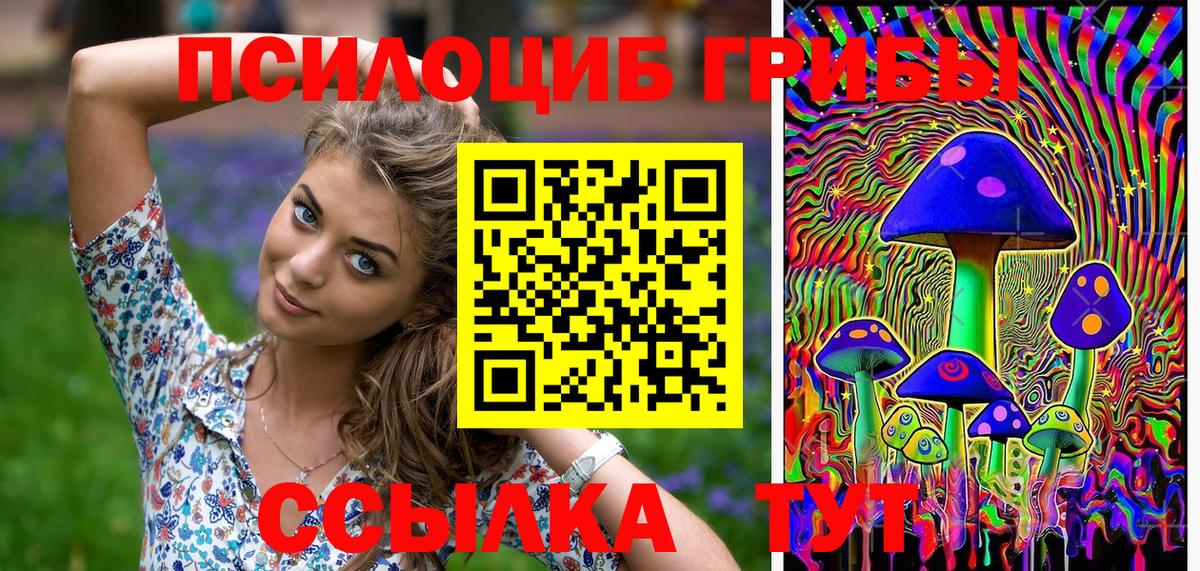 Псилоцибиновые грибы Psilocybine cubensis Михайловка