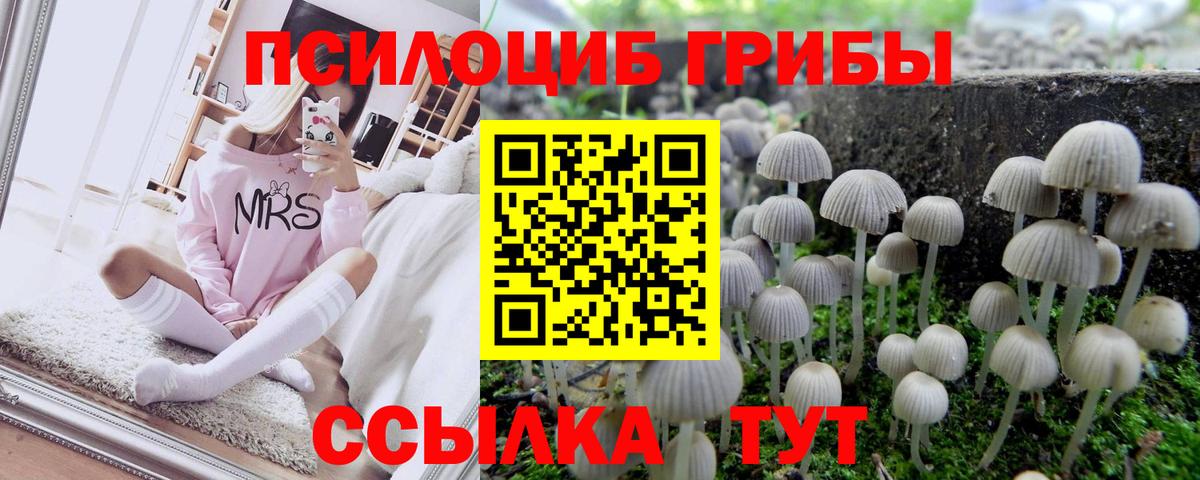 Псилоцибиновые грибы мухоморы  Вход с VPN  Михайловка 